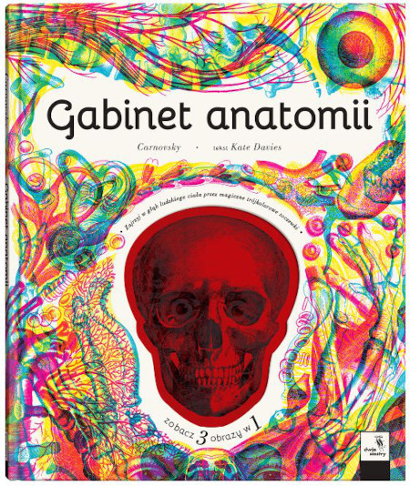 Gabinet anatomii. Wydawnictwo Dwie Siostry, książki dla dzieci